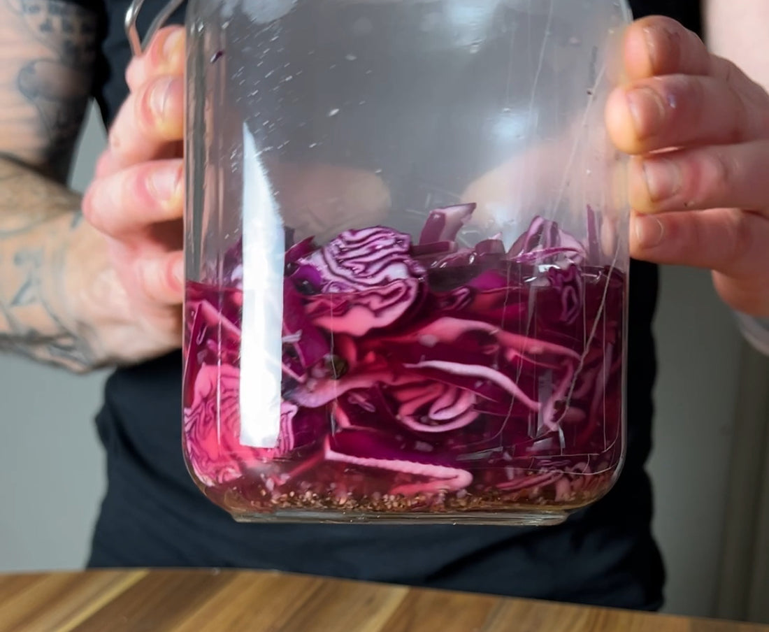 Maxi’s Pickled Cabbage